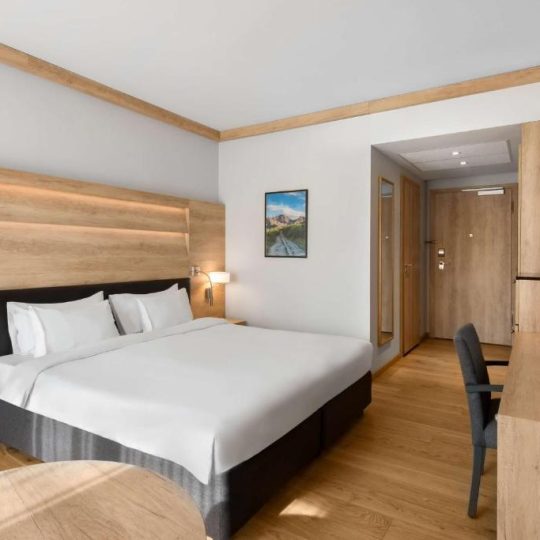 https://noweprzetargi.pl/warsztaty/wp-content/uploads/2026/02/Radisson_zakopane_19-540x540.jpg